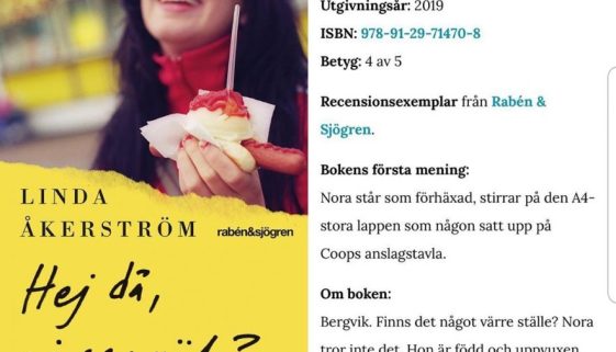 Bokbloggen Jennies boklista om Hej då, vi ses väl?