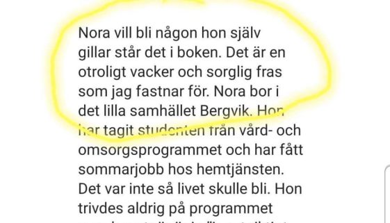 Saras Bokhyllor om Hej då, vi ses väl?
